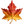 icon left