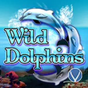 Wild Dolphins