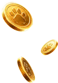 luckypaws-coins-decor-left